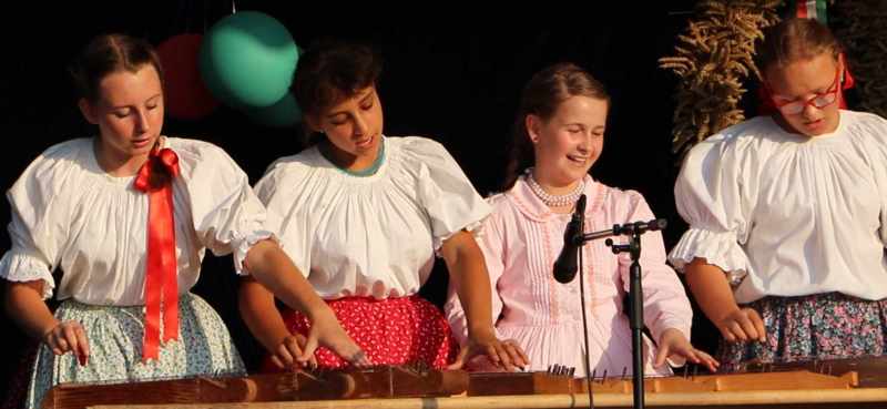 NZ2324-042 received_1517584325863149