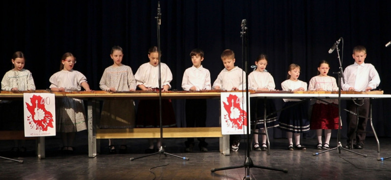 NZ2425_gyongyvirag05